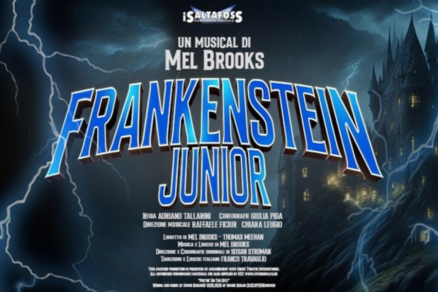 Frankenstein Junior Il Musical | Milano